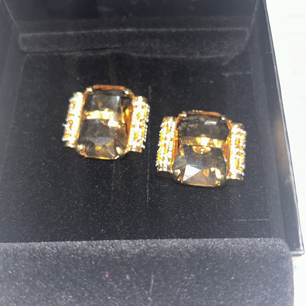 Crystal Greca Earrings
$750 Versace NWT